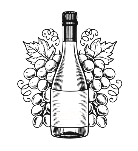 Paul Herpe Vin : Illustration de bouteille et grappes. Bouteille de vin Paul Herpe "le vigneron amateur" en style gravure. Grappes de raisins et feuilles de vigne sombres encadrent l'illustration.