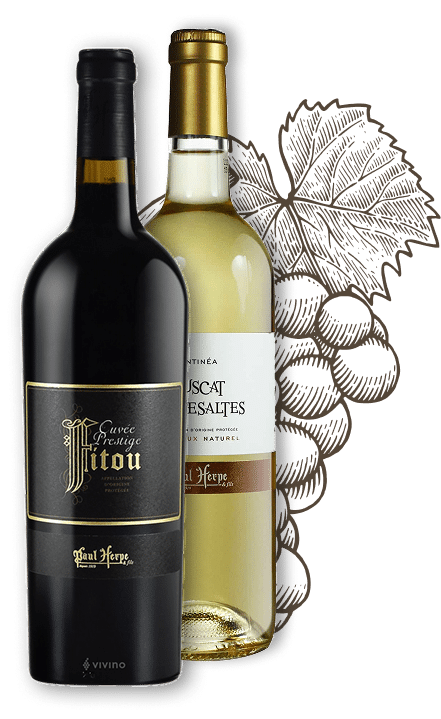 Bouteilles de vin Paul Herpe: une rouge Fitou Cuvée Prestige et une blanche Muscat de Rivesaltes. Vignoble stylisé en fond brun.