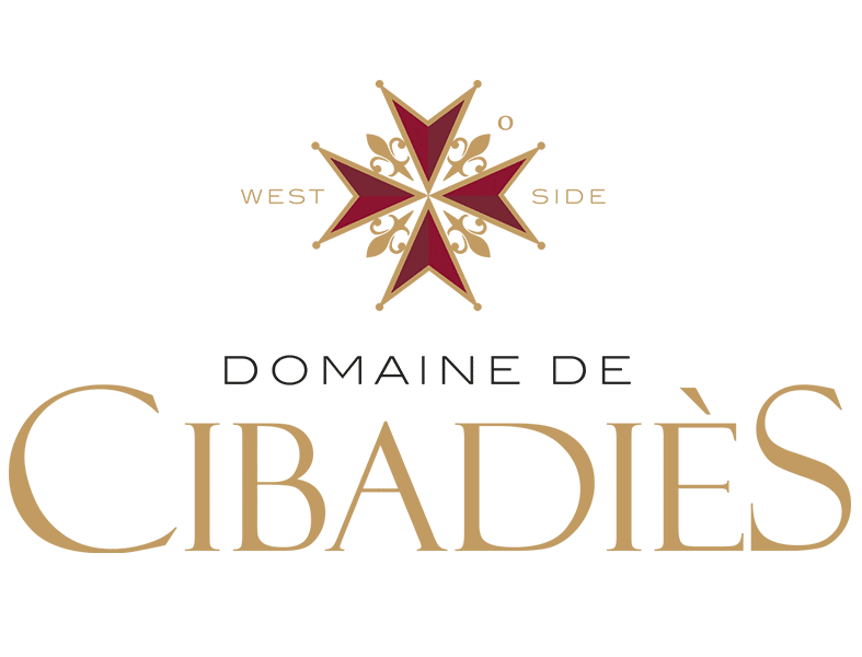 Cibades_color_600