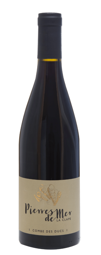 PIERRE DE MER ROUGE copie