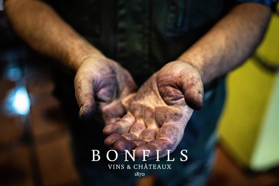 VIGNOBLES BONFILS_HARVEST 2020 1 copie