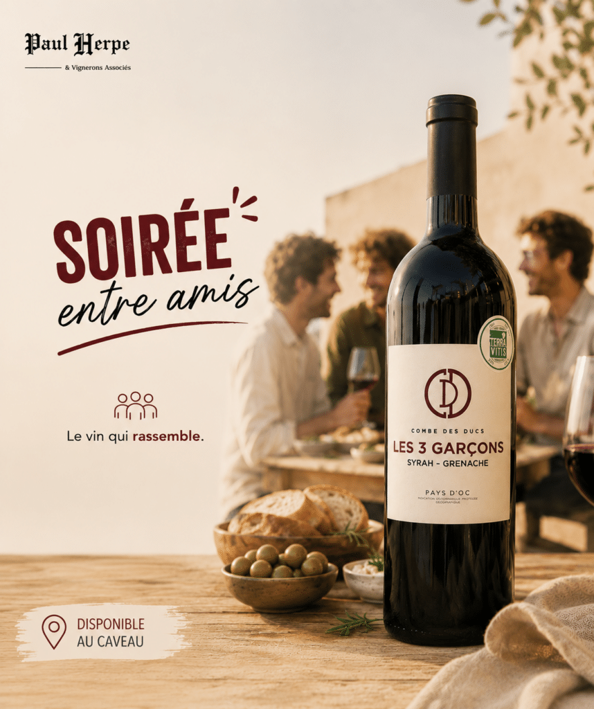 Vin Paul Herpe Les 3 Garçons, soirée entre amis conviviale. Bouteille au premier plan avec olives et pain.